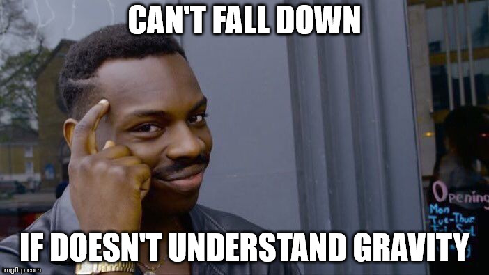 Roll Safe Think About It | CAN'T FALL DOWN; IF DOESN'T UNDERSTAND GRAVITY | image tagged in memes,roll safe think about it | made w/ Imgflip meme maker