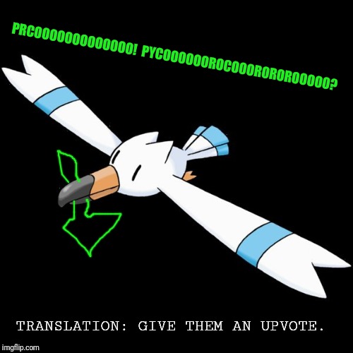 PRCOOOOOOOOOOOOO!  PYCOOOOOOROCOOOROROROOOOO? TRANSLATION: GIVE THEM AN UPVOTE. | image tagged in hydro the wingull | made w/ Imgflip meme maker