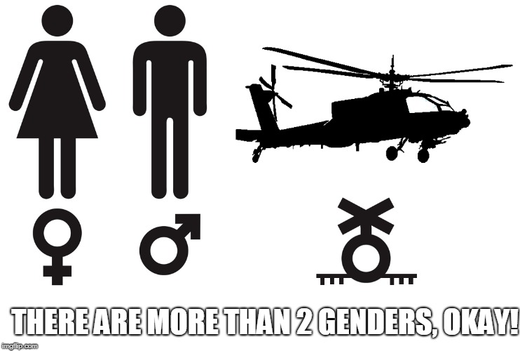 The Modern World | THERE ARE MORE THAN 2 GENDERS, OKAY! | image tagged in gender,modern,attack helicopter,funny,memes | made w/ Imgflip meme maker