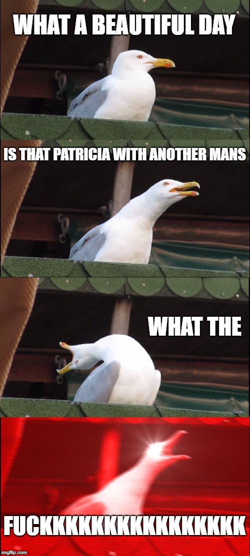 Inhaling Seagull Meme | WHAT A BEAUTIFUL DAY; IS THAT PATRICIA WITH ANOTHER MANS; WHAT THE; FUCKKKKKKKKKKKKKKKK | image tagged in memes,inhaling seagull | made w/ Imgflip meme maker