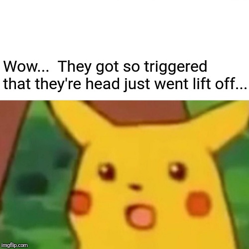 Surprised Pikachu Meme | Wow...  They got so triggered that they're head just went lift off... | image tagged in memes,surprised pikachu | made w/ Imgflip meme maker