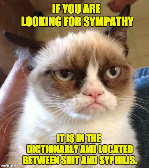Grumpy Cat Reverse |  IF YOU ARE LOOKING FOR SYMPATHY; IT IS IN THE DICTIONARLY AND LOCATED BETWEEN SHIT AND SYPHILIS. | image tagged in memes,grumpy cat reverse,grumpy cat | made w/ Imgflip meme maker