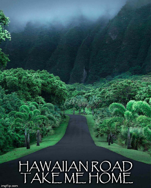 Take Me Home | HAWAIIAN ROAD TAKE ME HOME | image tagged in hawaii,hawaiian,road,lush,tropical,mountain | made w/ Imgflip meme maker