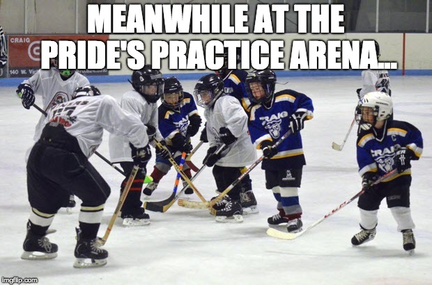 MEANWHILE AT THE PRIDE'S PRACTICE ARENA... | made w/ Imgflip meme maker