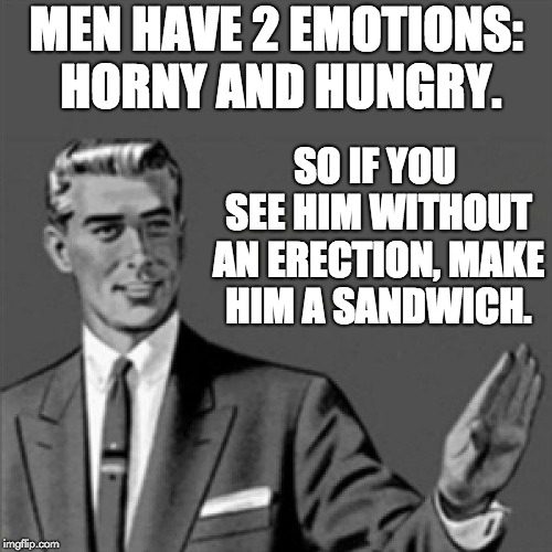 Correction guy | MEN HAVE 2 EMOTIONS: HORNY AND HUNGRY. SO IF YOU SEE HIM WITHOUT AN ERECTION, MAKE HIM A SANDWICH. | image tagged in correction guy | made w/ Imgflip meme maker