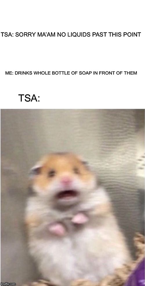 My weekend was fun | TSA: SORRY MA’AM NO LIQUIDS PAST THIS POINT; ME: DRINKS WHOLE BOTTLE OF SOAP IN FRONT OF THEM; TSA: | image tagged in blank white template | made w/ Imgflip meme maker