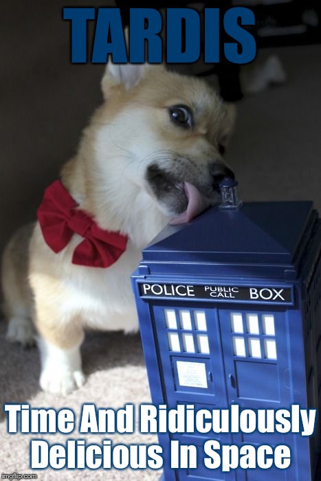 Dogtor Who | TARDIS; Time And Ridiculously Delicious In Space | image tagged in doctor who,tardis,delicious,bad pun,corgi,dog memes | made w/ Imgflip meme maker