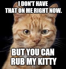 I DON'T HAVE THAT ON ME RIGHT NOW. BUT YOU CAN RUB MY KITTY | image tagged in smirking cat | made w/ Imgflip meme maker