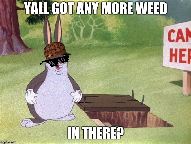 Big Chungus | YALL GOT ANY MORE WEED; IN THERE? | image tagged in big chungus | made w/ Imgflip meme maker