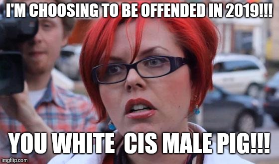 How to start 2019 | I'M CHOOSING TO BE OFFENDED IN 2019!!! YOU WHITE  CIS MALE PIG!!! | image tagged in angry feminist,memes,sjw | made w/ Imgflip meme maker