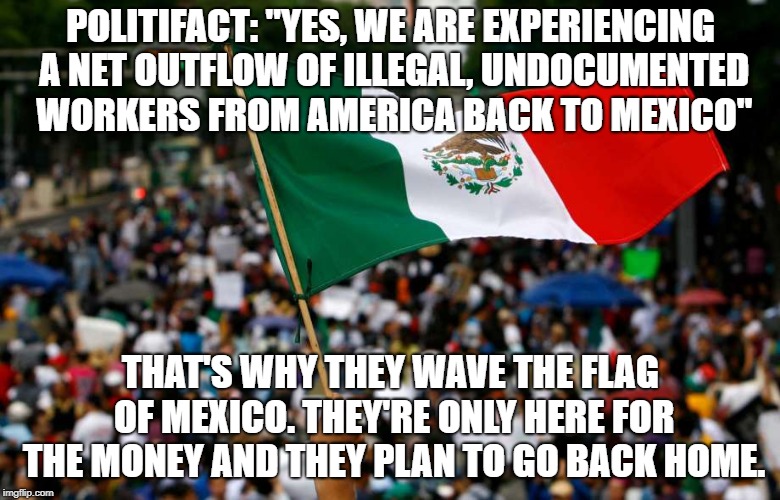 Just here for the money | POLITIFACT: "YES, WE ARE EXPERIENCING A NET OUTFLOW OF ILLEGAL, UNDOCUMENTED WORKERS FROM AMERICA BACK TO MEXICO"; THAT'S WHY THEY WAVE THE FLAG OF MEXICO. THEY'RE ONLY HERE FOR THE MONEY AND THEY PLAN TO GO BACK HOME. | image tagged in illegal immigration | made w/ Imgflip meme maker