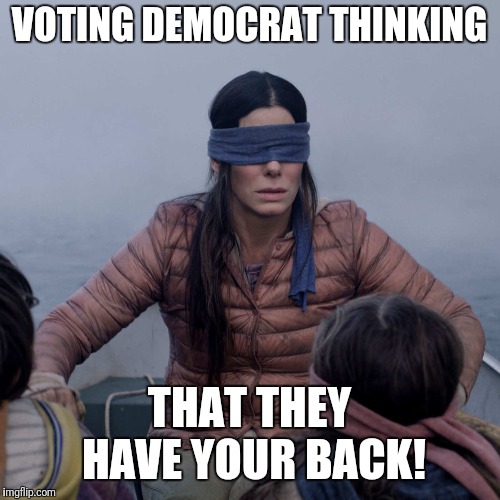 Bird Box | VOTING DEMOCRAT THINKING; THAT THEY HAVE YOUR BACK! | image tagged in birdbox | made w/ Imgflip meme maker