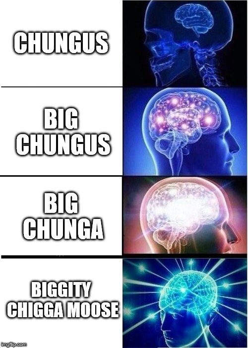 Chungo
 | CHUNGUS; BIG CHUNGUS; BIG CHUNGA; BIGGITY CHIGGA MOOSE | image tagged in memes,expanding brain | made w/ Imgflip meme maker