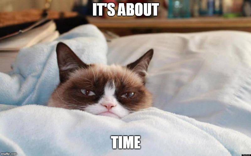 grumpy cat bed | IT'S ABOUT TIME | image tagged in grumpy cat bed | made w/ Imgflip meme maker