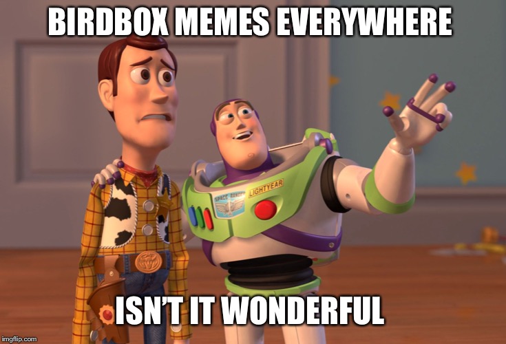 X, X Everywhere Meme | BIRDBOX MEMES EVERYWHERE; ISN’T IT WONDERFUL | image tagged in memes,x x everywhere | made w/ Imgflip meme maker