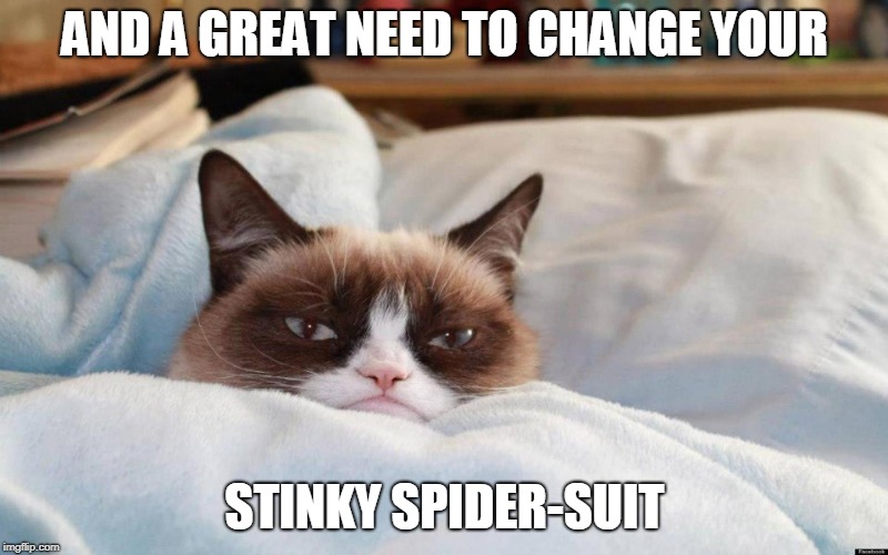 grumpy cat bed | AND A GREAT NEED TO CHANGE YOUR STINKY SPIDER-SUIT | image tagged in grumpy cat bed | made w/ Imgflip meme maker