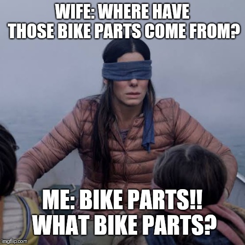 Bird Box | WIFE: WHERE HAVE THOSE BIKE PARTS COME FROM? ME: BIKE PARTS!! WHAT BIKE PARTS? | image tagged in birdbox | made w/ Imgflip meme maker