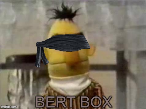 Bert Stare | BERT BOX | image tagged in bert stare,funny,bird box,netflix | made w/ Imgflip meme maker