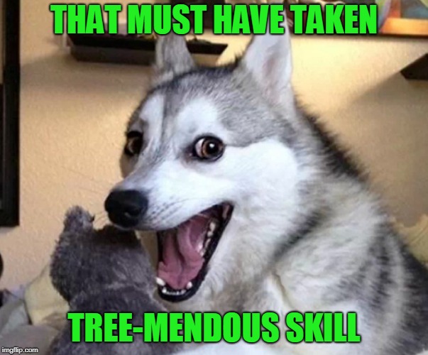 THAT MUST HAVE TAKEN TREE-MENDOUS SKILL | made w/ Imgflip meme maker