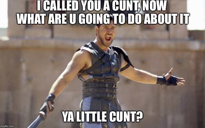 Bring it on jao | I CALLED YOU A C**T, NOW WHAT ARE U GOING TO DO ABOUT IT YA LITTLE C**T? | image tagged in bring it on jao | made w/ Imgflip meme maker