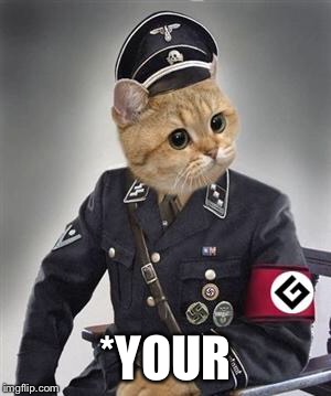 Grammar Nazi Cat | *YOUR | image tagged in grammar nazi cat | made w/ Imgflip meme maker