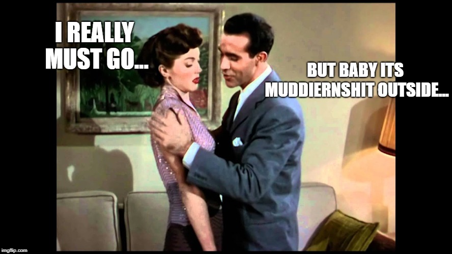 Winter in the South! | I REALLY MUST GO... BUT BABY ITS MUDDIERNSHIT OUTSIDE... | image tagged in funny,funny memes | made w/ Imgflip meme maker