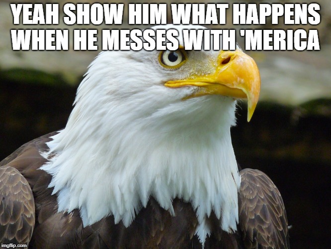 YEAH SHOW HIM WHAT HAPPENS WHEN HE MESSES WITH 'MERICA | made w/ Imgflip meme maker