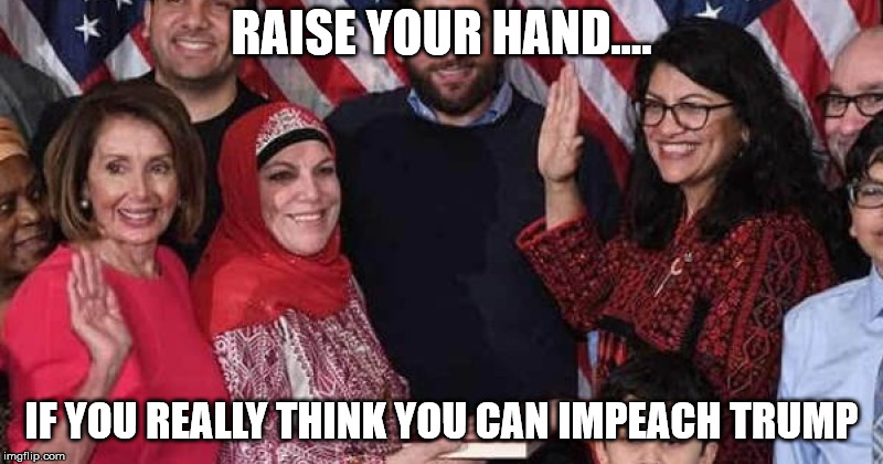 CONGRESSWOMAN RASHIDA | RAISE YOUR HAND.... IF YOU REALLY THINK YOU CAN IMPEACH TRUMP | image tagged in congresswoman rashida | made w/ Imgflip meme maker