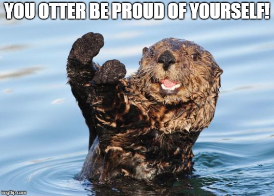 otter celebration | YOU OTTER BE PROUD OF YOURSELF! | image tagged in otter celebration | made w/ Imgflip meme maker