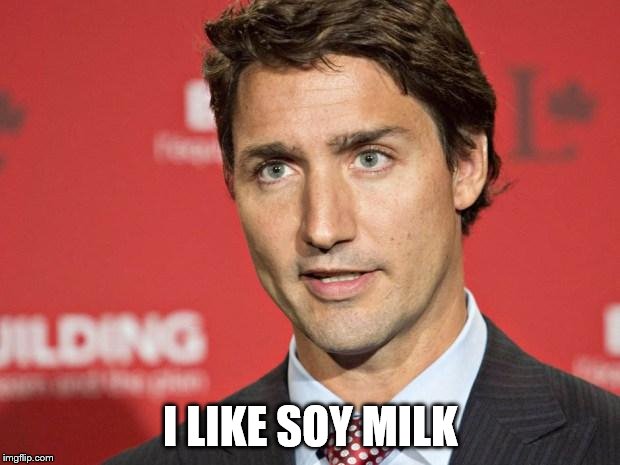 Trudeau | I LIKE SOY MILK | image tagged in trudeau | made w/ Imgflip meme maker