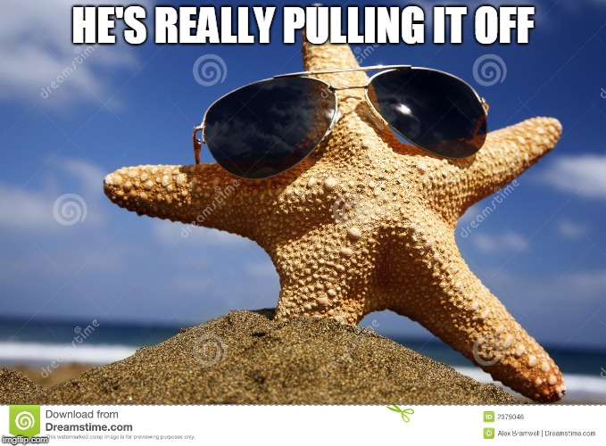 Starfish | HE'S REALLY PULLING IT OFF | image tagged in starfish | made w/ Imgflip meme maker
