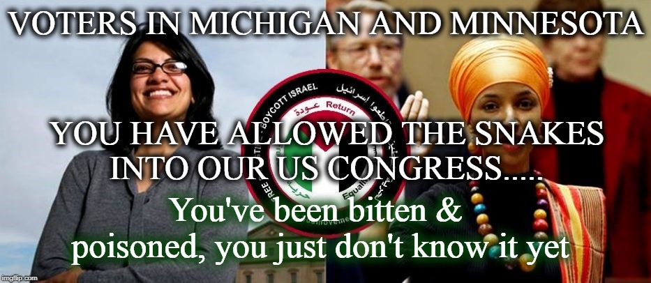 Poisoning the Well | VOTERS IN MICHIGAN AND MINNESOTA; YOU HAVE ALLOWED THE SNAKES INTO OUR US CONGRESS..... You've been bitten & poisoned, you just don't know it yet | image tagged in minnesota,michigan,congress,snakes,poison,not funny | made w/ Imgflip meme maker