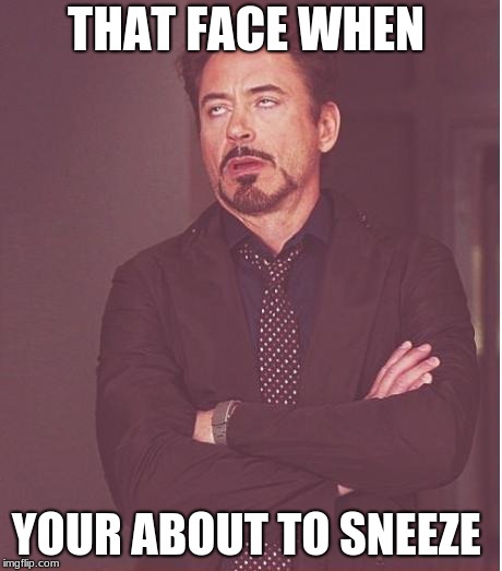 Face You Make Robert Downey Jr Meme | THAT FACE WHEN; YOUR ABOUT TO SNEEZE | image tagged in memes,face you make robert downey jr | made w/ Imgflip meme maker
