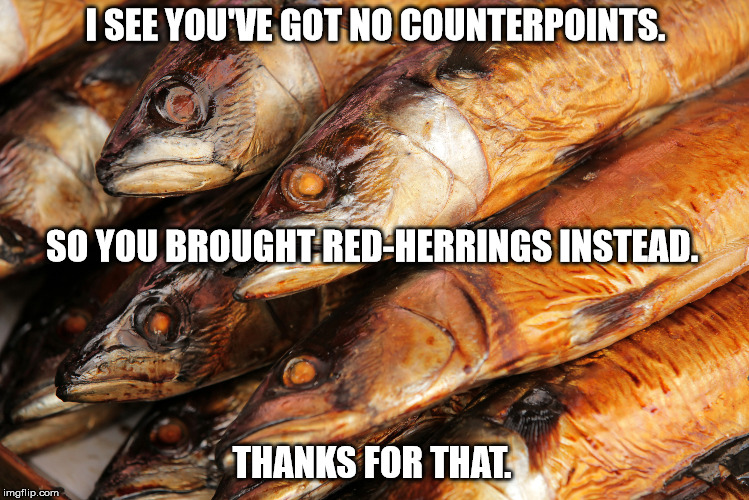 red herrings | I SEE YOU'VE GOT NO COUNTERPOINTS. SO YOU BROUGHT RED-HERRINGS INSTEAD. THANKS FOR THAT. | image tagged in red herrings | made w/ Imgflip meme maker