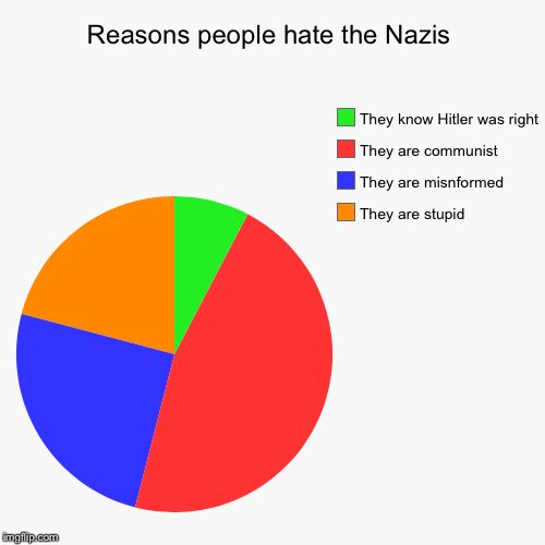 Reasons people hate the Nazis | They are stupid, They are misnformed, They are communist, They know Hitler was right | image tagged in funny,pie charts | made w/ Imgflip chart maker