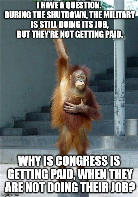Until a budget is passed, members of congress should not get paid. | I HAVE A QUESTION. DURING THE SHUTDOWN, THE MILITARY IS STILL DOING ITS JOB, BUT THEY'RE NOT GETTING PAID. WHY IS CONGRESS IS GETTING PAID, WHEN THEY ARE NOT DOING THEIR JOB? | image tagged in questioning ape | made w/ Imgflip meme maker