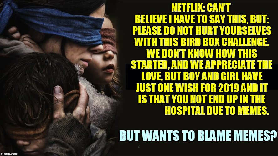 Who Else Thinks Netflix Doesn't Want To Take Responsibility For It's Programming | 9 | image tagged in memes,netflix,blame,bird box,challenge,political | made w/ Imgflip meme maker