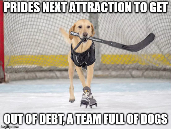 PRIDES NEXT ATTRACTION TO GET; OUT OF DEBT, A TEAM FULL OF DOGS | made w/ Imgflip meme maker