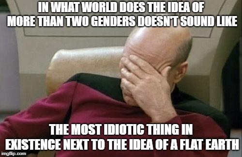 Captain Picard Facepalm Meme | IN WHAT WORLD DOES THE IDEA OF MORE THAN TWO GENDERS DOESN'T SOUND LIKE; THE MOST IDIOTIC THING IN EXISTENCE NEXT TO THE IDEA OF A FLAT EARTH | image tagged in memes,captain picard facepalm | made w/ Imgflip meme maker