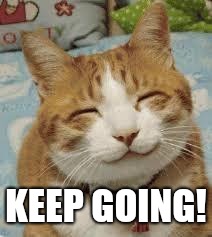 Happy cat | KEEP GOING! | image tagged in happy cat | made w/ Imgflip meme maker