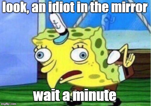 Mocking Spongebob Meme | look, an idiot in the mirror wait a minute | image tagged in memes,mocking spongebob | made w/ Imgflip meme maker