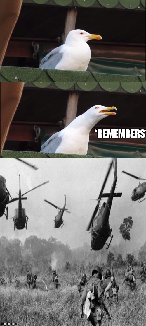 So many bad memories.  | *REMEMBERS* | image tagged in vietnam war flashbacks seagull | made w/ Imgflip meme maker