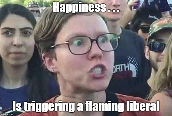 Happiness is Triggering a Liberal | Happiness . . . Is triggering a flaming liberal | image tagged in triggered liberal,happiness | made w/ Imgflip meme maker