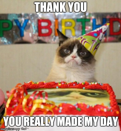 Grumpy Cat Birthday Meme | THANK YOU YOU REALLY MADE MY DAY | image tagged in memes,grumpy cat birthday,grumpy cat | made w/ Imgflip meme maker