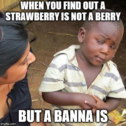 Third World Skeptical Kid Meme | WHEN YOU FIND OUT A STRAWBERRY IS NOT A BERRY; BUT A BANNA IS | image tagged in memes,third world skeptical kid | made w/ Imgflip meme maker