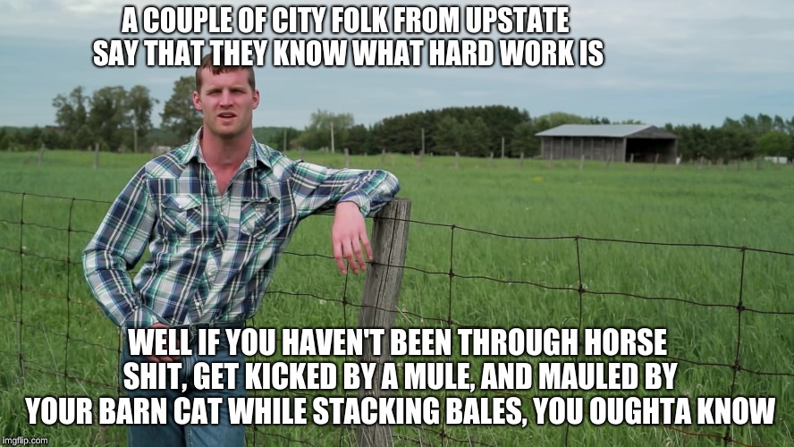 Letterkenny Problems | A COUPLE OF CITY FOLK FROM UPSTATE SAY THAT THEY KNOW WHAT HARD WORK IS; WELL IF YOU HAVEN'T BEEN THROUGH HORSE SHIT, GET KICKED BY A MULE, AND MAULED BY YOUR BARN CAT WHILE STACKING BALES, YOU OUGHTA KNOW | image tagged in letterkenny problems | made w/ Imgflip meme maker