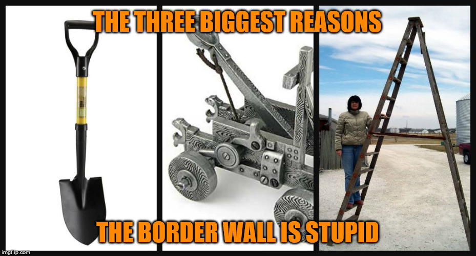 If we can bypass it with pre Dark Ages technology, maybe think of something better | THE THREE BIGGEST REASONS; THE BORDER WALL IS STUPID | image tagged in trump,border wall,mexico will pay for it | made w/ Imgflip meme maker