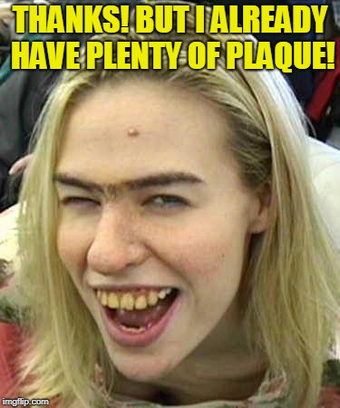 Yellow teeth | THANKS! BUT I ALREADY HAVE PLENTY OF PLAQUE! | image tagged in yellow teeth | made w/ Imgflip meme maker