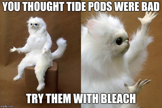 Persian Cat Room Guardian Meme | YOU THOUGHT TIDE PODS WERE BAD; TRY THEM WITH BLEACH | image tagged in memes,persian cat room guardian | made w/ Imgflip meme maker