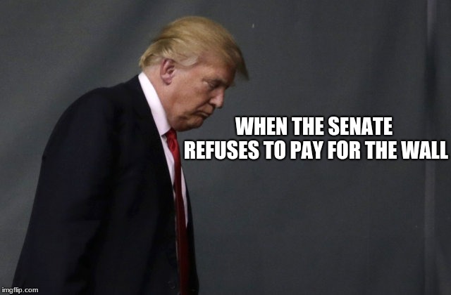 WHEN THE SENATE REFUSES TO PAY FOR THE WALL | image tagged in donald trump | made w/ Imgflip meme maker